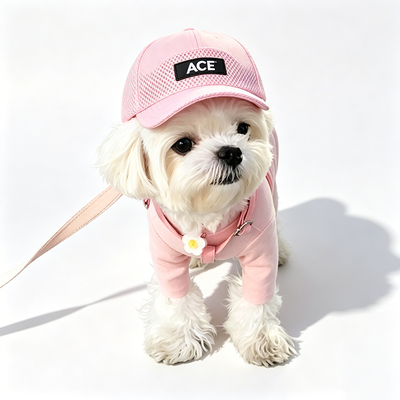 50 gram Cotton Cute Pet Hat Thiết kế đa năng Khớp với nhiều trang phục và cá tính thú cưng