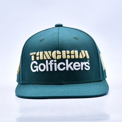 Logo đúc 3D chất lượng phong cách 6 tấm Snapback mũ bán nóng