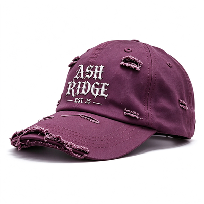 Mũ lưỡi trai thể thao thoáng khí, nhẹ, phong cách Dad Hat, thêu nổi, giặt tay được, lý tưởng cho trang phục thường ngày, người yêu thích hoạt động ngoài trời